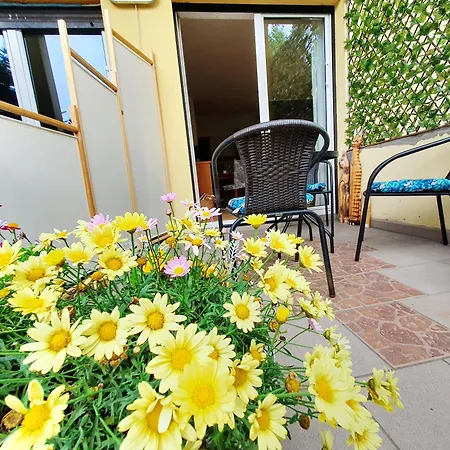 Apartament 1 Przy Termach Cieplickich Jelenia Gora Exterior photo