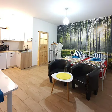 Apartament 1 Przy Termach Cieplickich Jelenia Gora Exterior photo